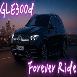 GLE300d_you’re no longer just somebody