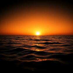 Odyssey in your house