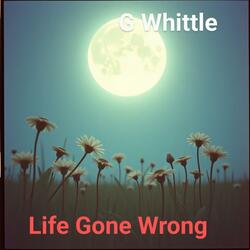 Life Gone Wrong