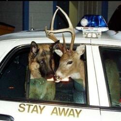 you were right about me, i didn't even realize it.