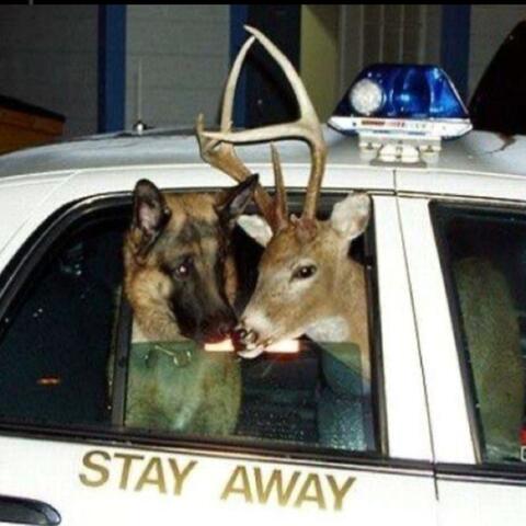 hope this finds you well too.