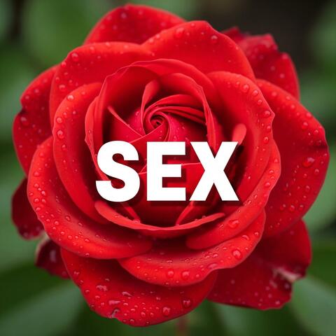 SEX: The Album