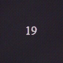 19