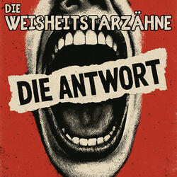 Die Antwort (feat. Lina Li)