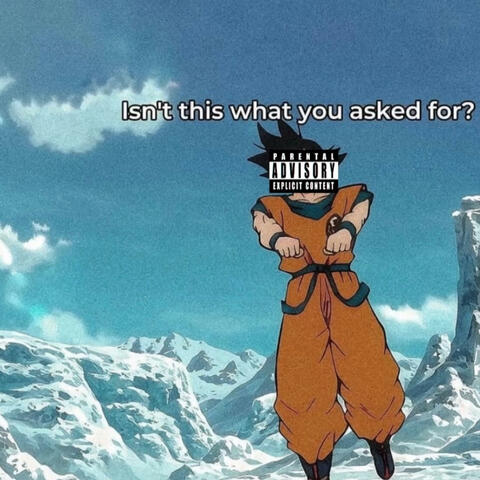K9 - Wizdom
