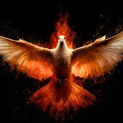 Set My Soul on Fire
