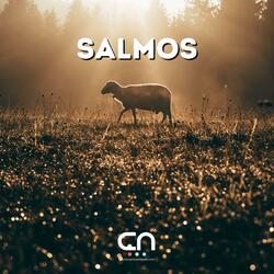 Has cambiado mi lamento en baile (salmo 30)