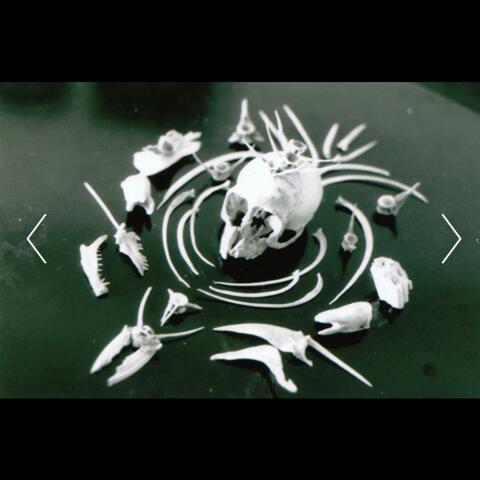 the beginning of the end