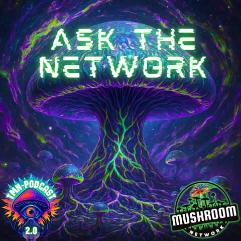 Ask The Network