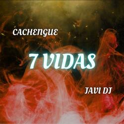 7 VIDAS (Remix)
