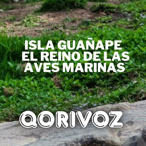Isla Guañape – El Reino de las Aves Marinas