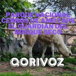 Parque Nacional Cerros de Amotape – El Guardian del Bosque Seco