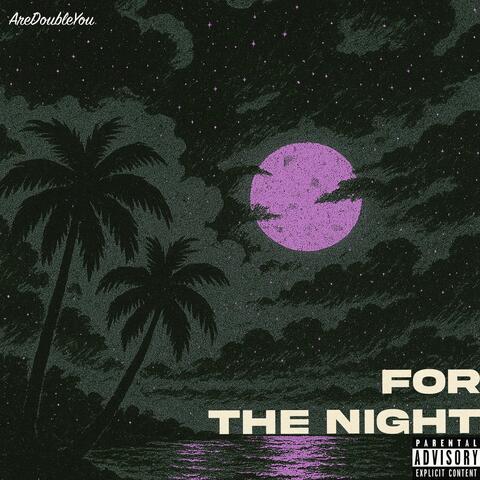 For The Night