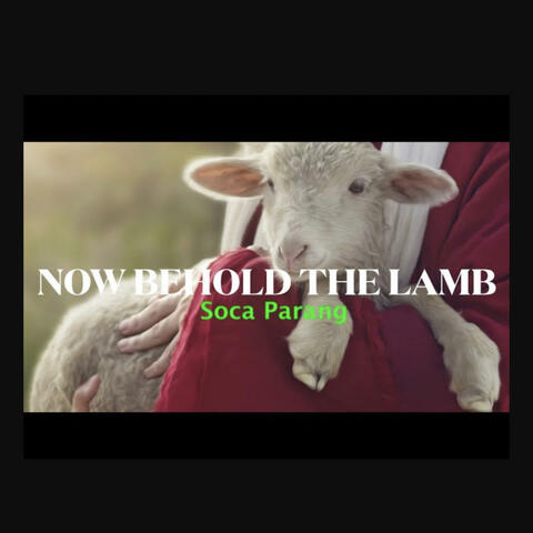 Now Behold The Lamb