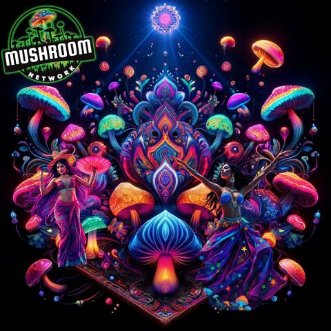 BollyMycoGroove