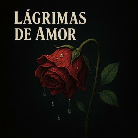 LAGRIMAS DE AMOR