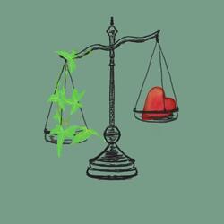 Reality or an Illusion?