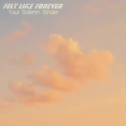 Felt Like Forever