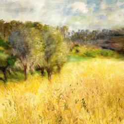 a melancholic afternoon in the countryside (V)