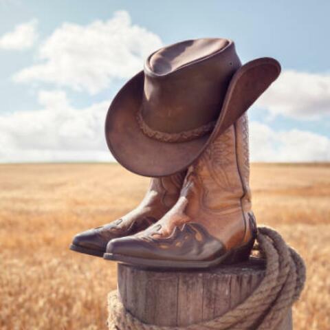 Why Baby Why // AI Country Song by DRMIX