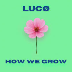 How We Grow