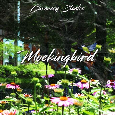Mockingbird