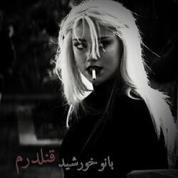 ناله های بانو خورشید:  قلندرم در به درم