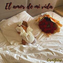 El Amor De Mi Vida
