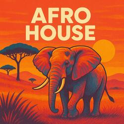 Rhythm of the Fire (Afro. House)