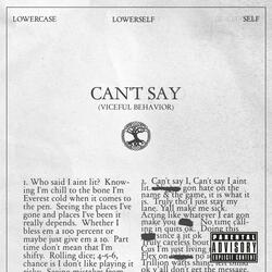 Can't Say