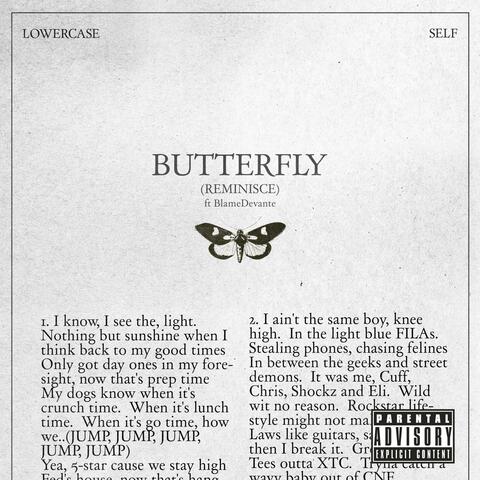 Butterfly