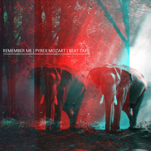 Remember Me Beat Tape