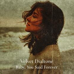 Baby, You Said Forever