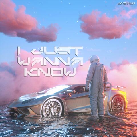 I Just Wanna Know