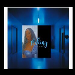 Making Love To You