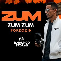 Zum Zum Zum (Versão Forrozin)