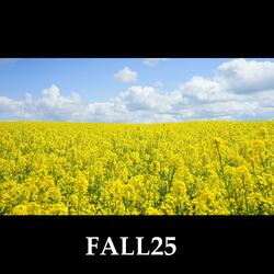 FALL25