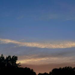 all the things you do (girl of my dreams)