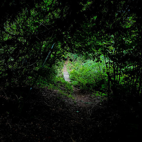 A Wordless Conversation XVII