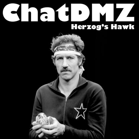 Herzog's Hawk