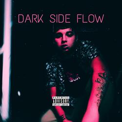 DARK SIDE FLOW (feat. Django Majestic)