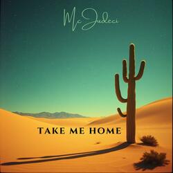 Take Me Home