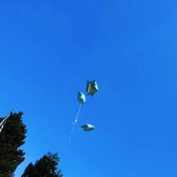 Say Goodbye (May 27th 2024 R.I.P)