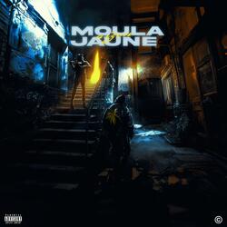 Moula Jaune