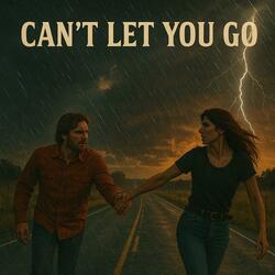 Cant let you go