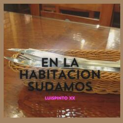 En la habitacion sudamos