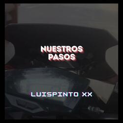 Nuestros pasos