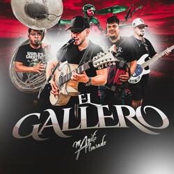 EL GALLERO