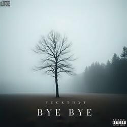 Bye Bye
