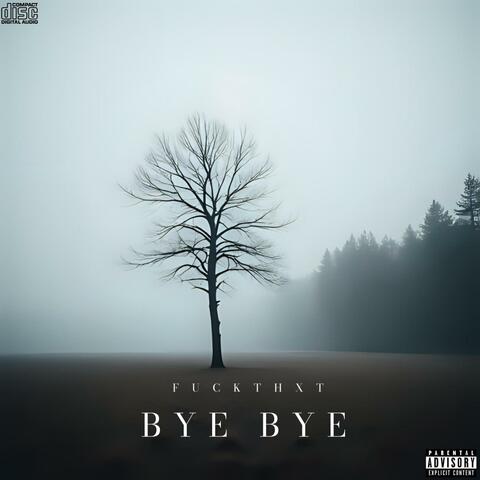Bye Bye